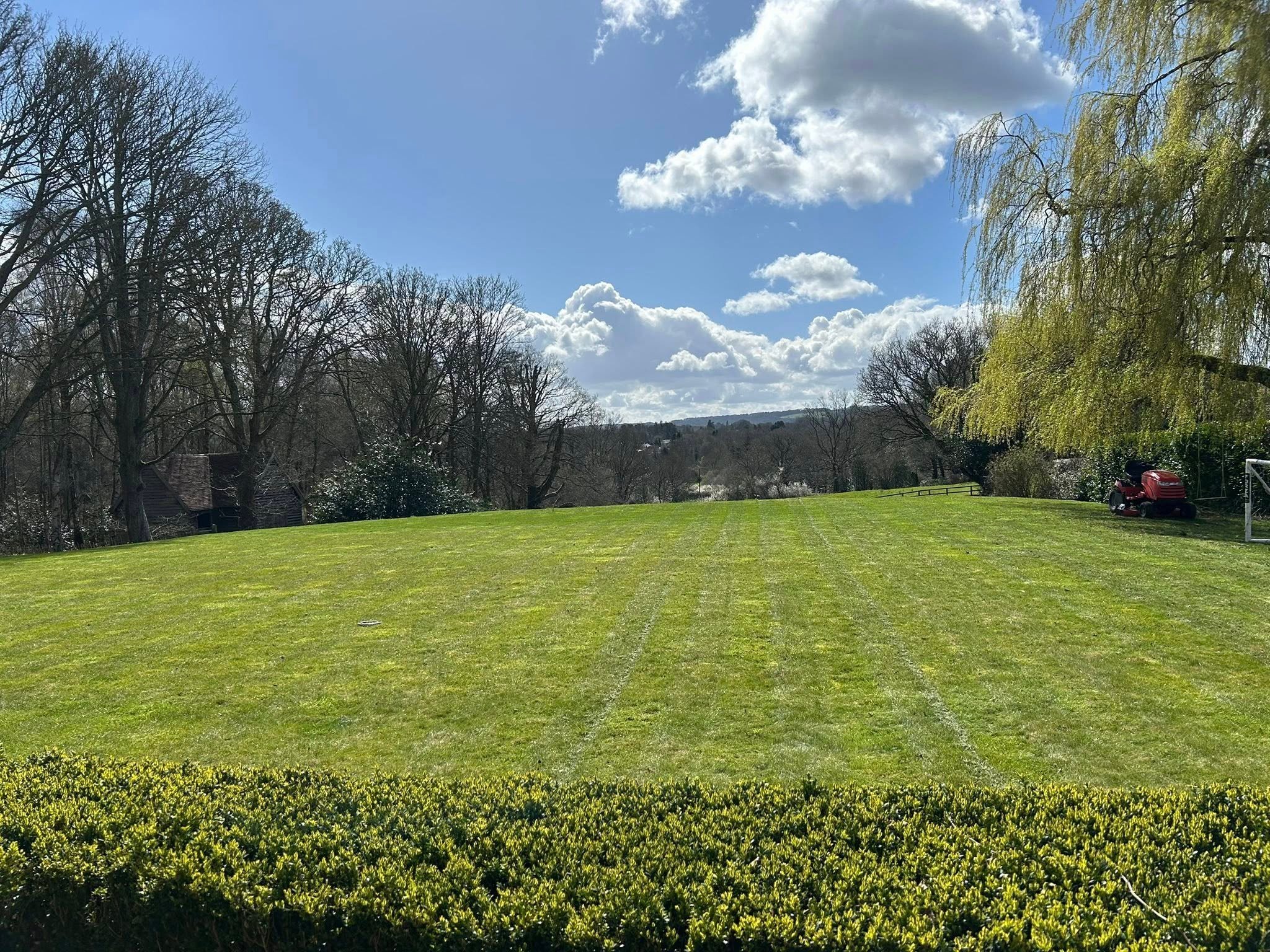 David’s Gardening Maintenance